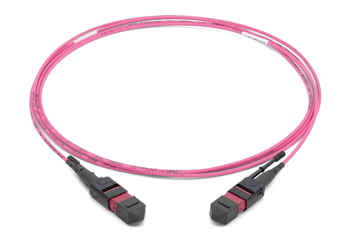 Datwyler MTP-MTP OM4 12c (6 port) Trunk Cable