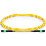 MTP-MTP OS2 12c (6 port) Trunk Cable