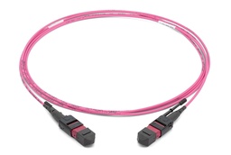 Datwyler MTP-MTP OM4 12c (6 port) Trunk Cable