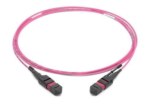MTP-MTP OM4 24c (12 port) Trunk Cable